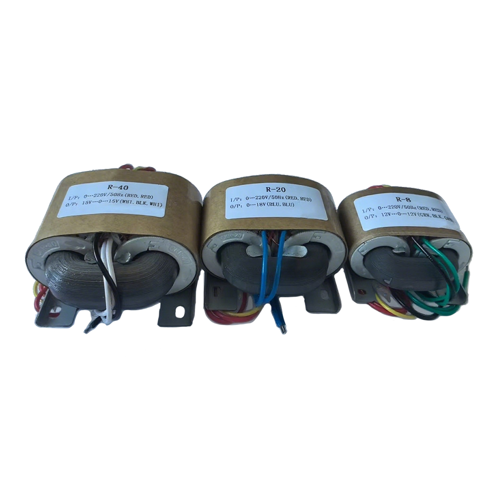Transformador TRTDDY-R R-TRANSFORMA DE CORRITOR ELECTRICA POWER 5W-3000W